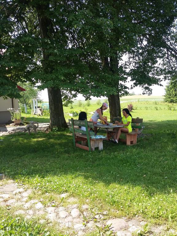Вілла Agrocamp Pawlowka  Екстер'єр фото