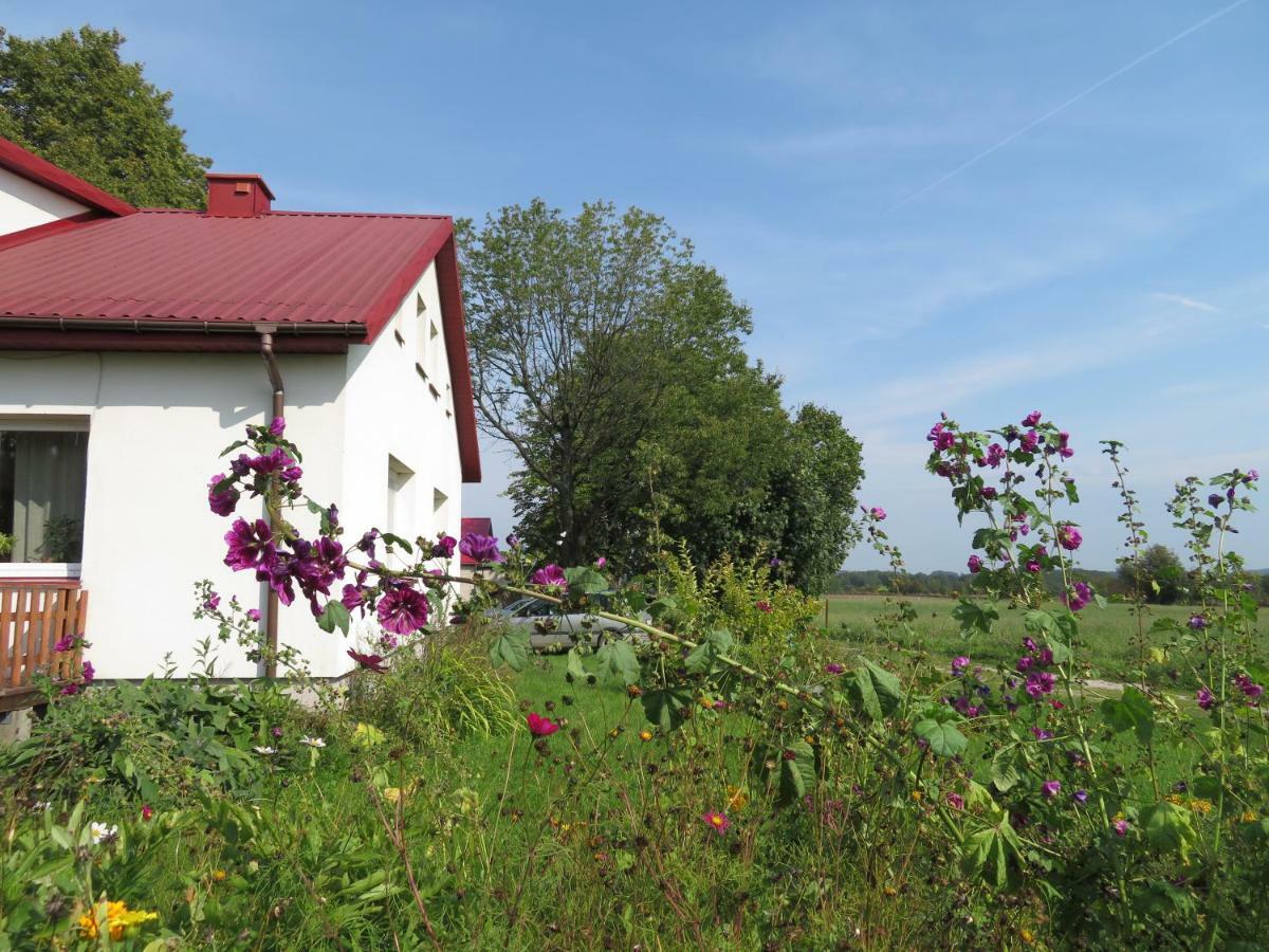 Вілла Agrocamp Pawlowka  Екстер'єр фото